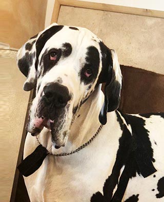 Foto 02.03.18, 12 54 18